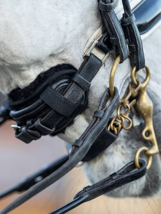 LeMieux Simuwool Chin Noseband Guard Treehouse Sporting Colours lemieux-simuwool-chin-noseband-guard-treehouse-sporting-colours