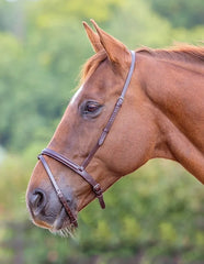 Flash Noseband