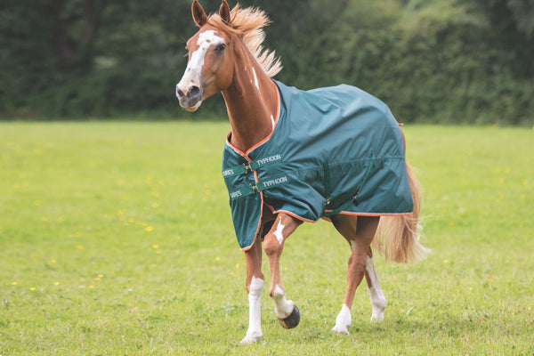 Shires Typhoon Lite Turnout Rug