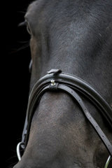Cameo Core Comfort Bridle