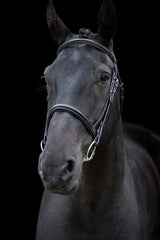 Cameo Core Comfort Bridle