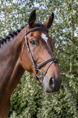 Cameo Core Comfort Bridle