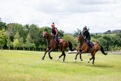 LeMieux Suede Close Contact Square - Seasonal Collections