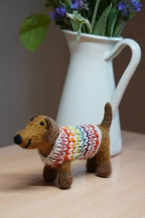 Pachamama Hoxton Harry the Dachshund