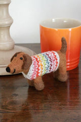 Pachamama Hoxton Harry the Dachshund