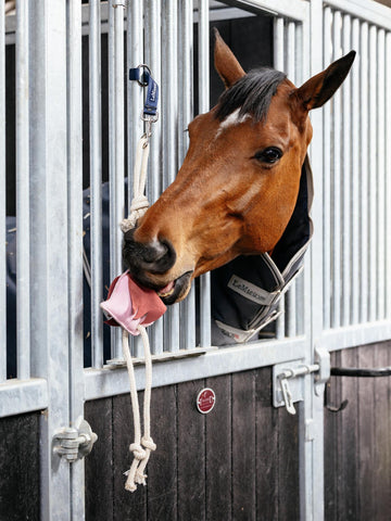 LeMieux Horse Toy - Flamingo