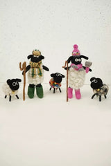 Pachamama Shearing Sheila