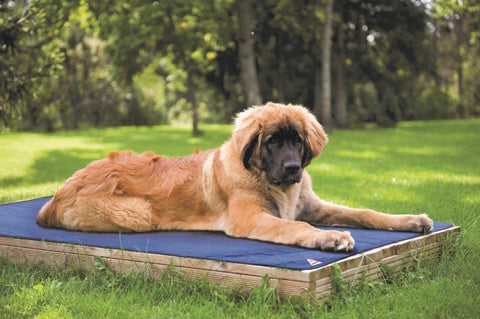 Hyperkewl Evaporative Cooling Dog Pad