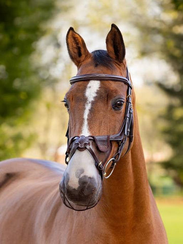 LeMieux Comfort Shield Grackle Nose Filter 2pk