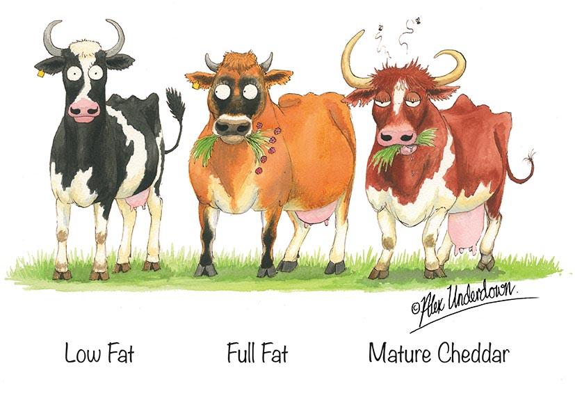 Low Fat, Full Fat, Mature Cheddar / One size