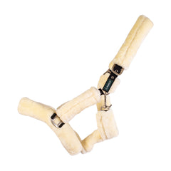 Cameo Deluxe Headcollar