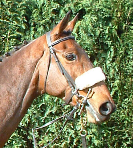 Sheepskin Nosebands