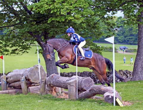 Treehouse Originals Child Sweatshirt XC Sets