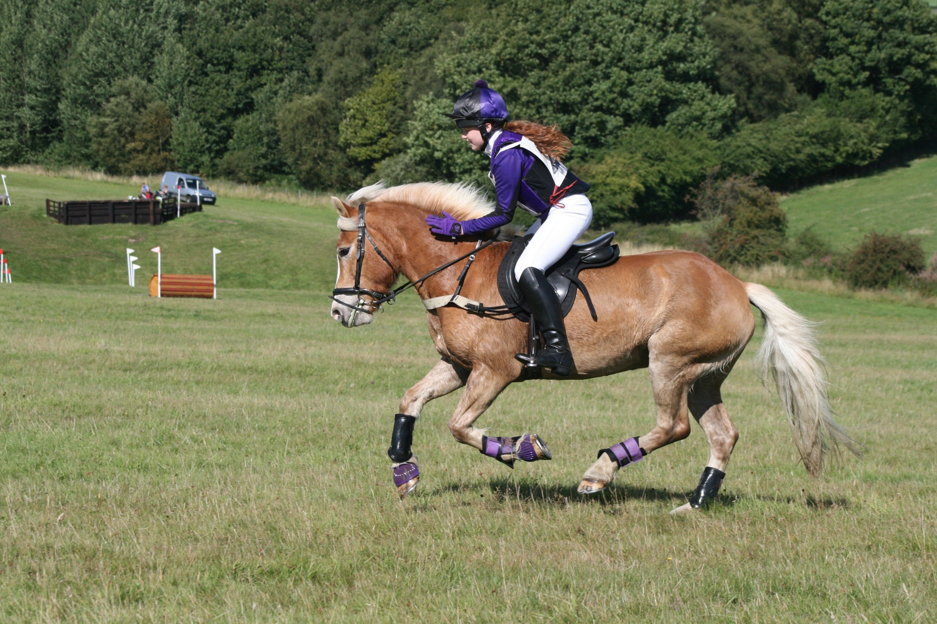 Winner of the Pony Magazine Competition for Treehouse gear! – Treehouse ...