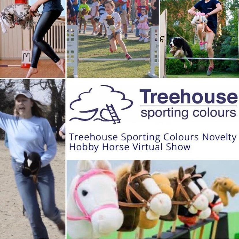 Hobby Horse and Virtual Dressage Competition fun! – Treehouse Sporting ...