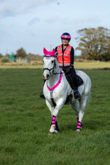 Woof Wear Hi Vis Riding Vest (not certified)