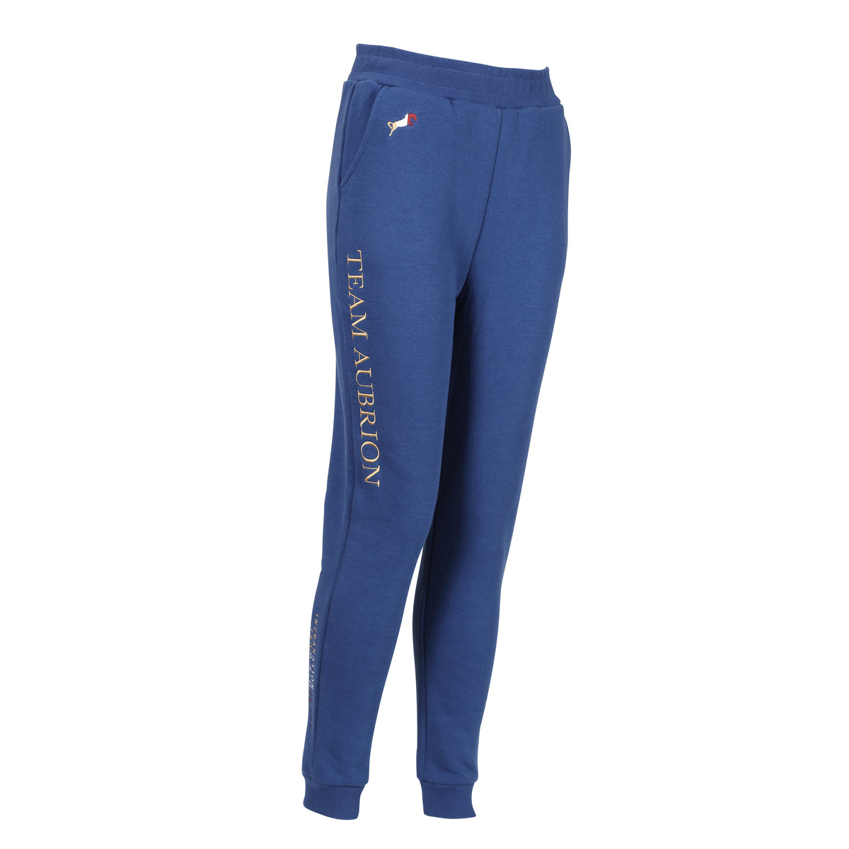 Aubrion Team Young Rider Joggers