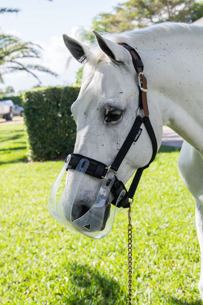 Thinline Padded Halter Liners