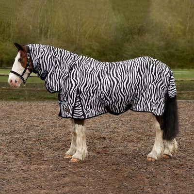 Zebra Fly Rug Combo by Gallop