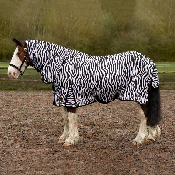 Zebra Fly Rug Combo by Gallop