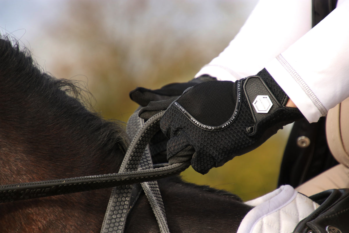 Coldstream Swinton Combi Mesh Summer Riding Gloves