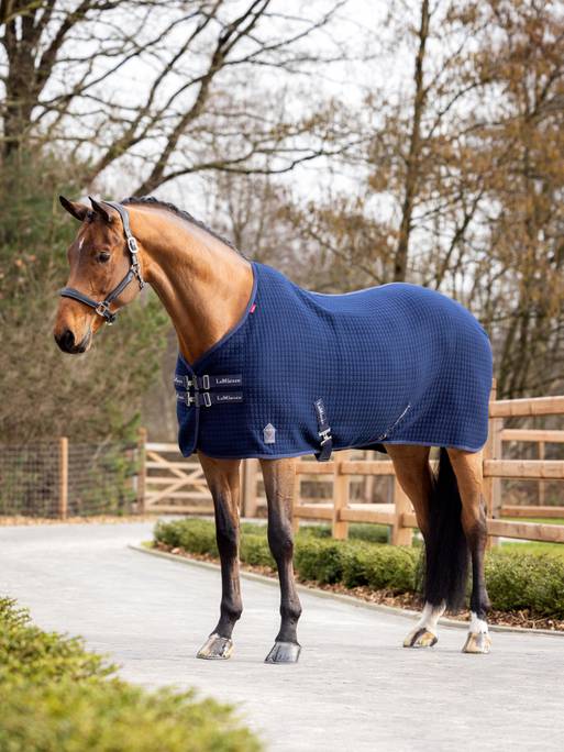 LeMieux Arika Clima-Tek Rug