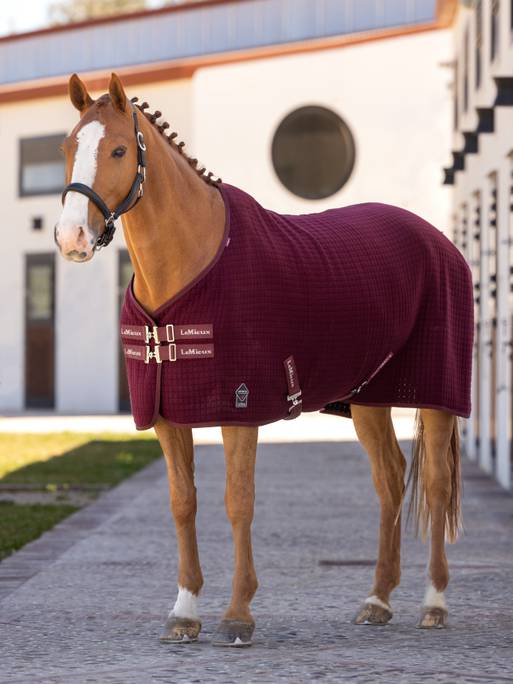LeMieux Arika Clima-Tek Rug