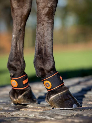 LeMieux Magno Pastern Wrap
