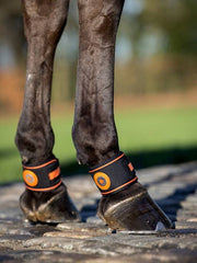 LeMieux Magno Pastern Wrap