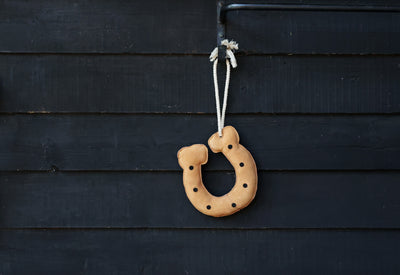 HyEquestrian Stable Toy - Clippity Clop Horseshoe