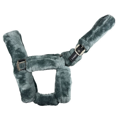 Cameo Deluxe Headcollar