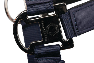 Coldstream Paxton Padded Headcollar & Leadrope