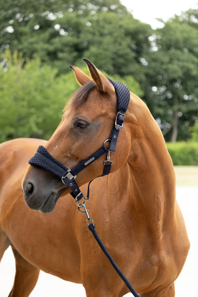 Coldstream Middleton Air Flow Headcollar & Leadrope