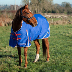 Gallop Trojan Xtra 200g Dual Turnout Set