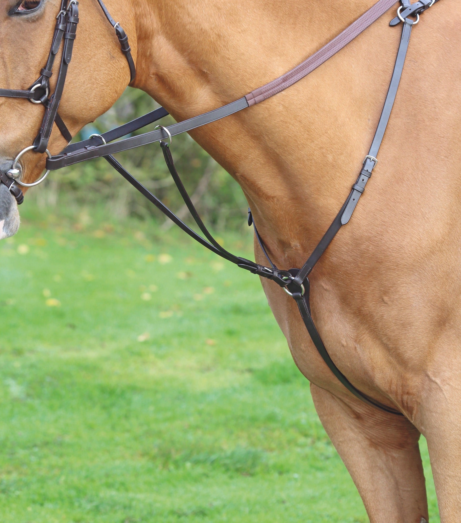 Velociti Gara Hunt Weight Breastplate