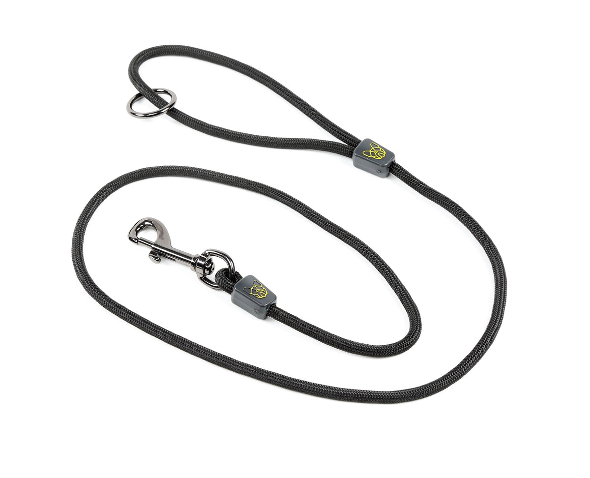 Digby & Fox Pro Dog Lead