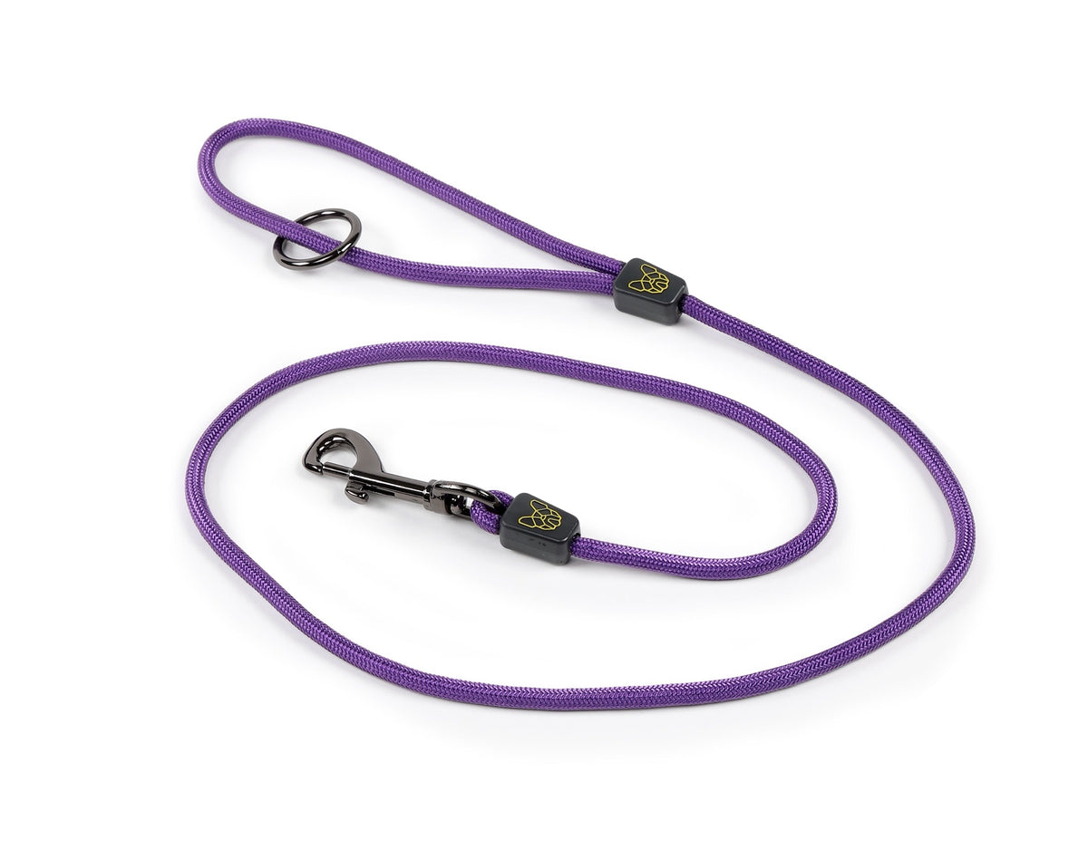 Digby & Fox Pro Dog Lead