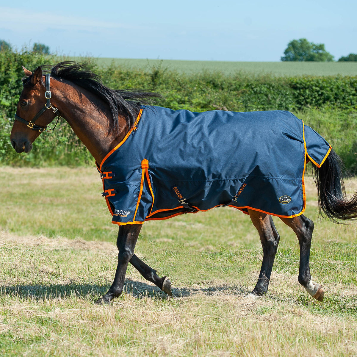 Gallop Trojan 100 Standard Turnout