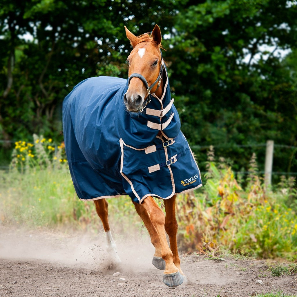 Gallop Trojan 100 Combo Turnout Rug