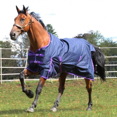 Trojan Lightweight Turnout Rug