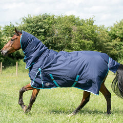Trojan Combo 350g Turnout Rug