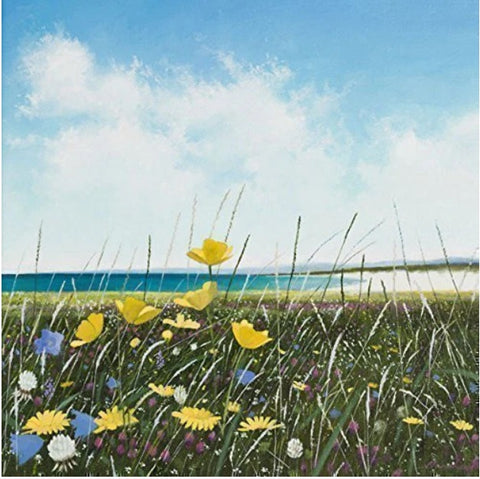 Wildflowers and Landscape Greeting Card - Across the Machair