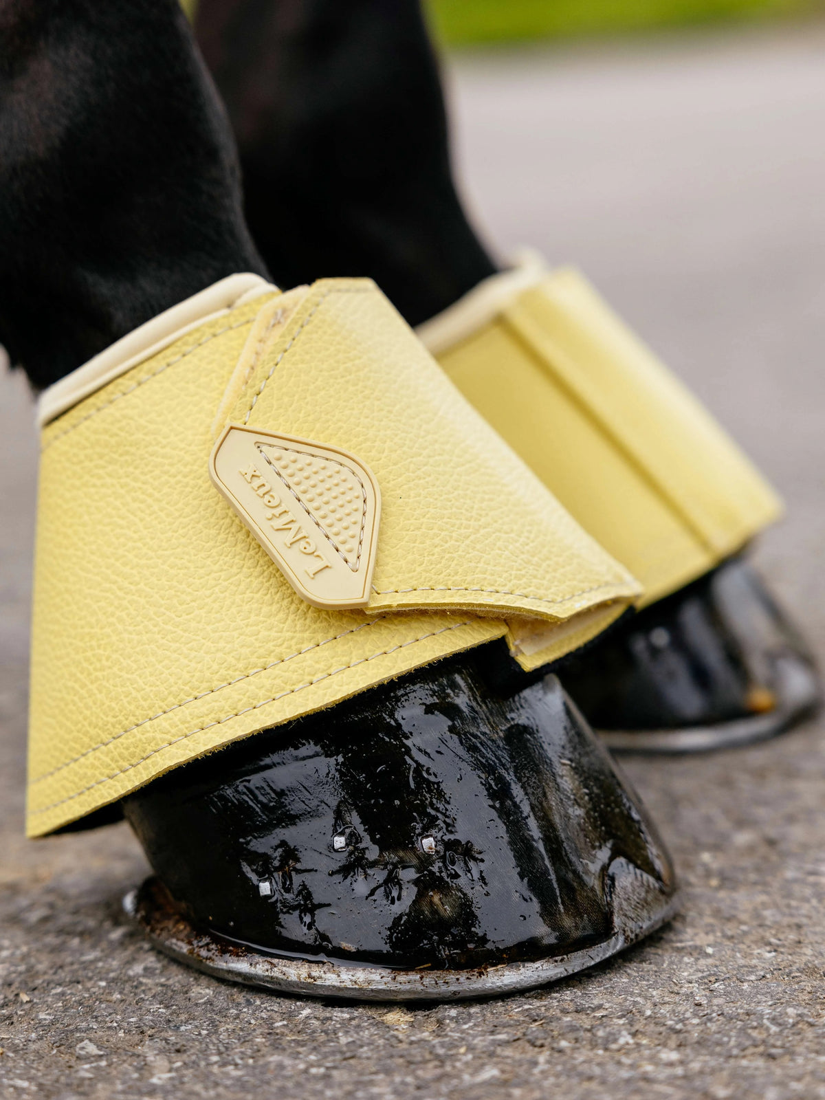 LeMieux Arika Overreach Boots