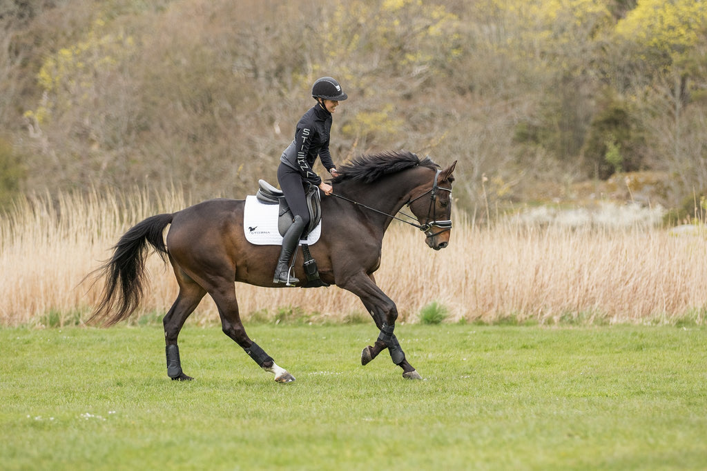 Stierna Wind Axis Jacket