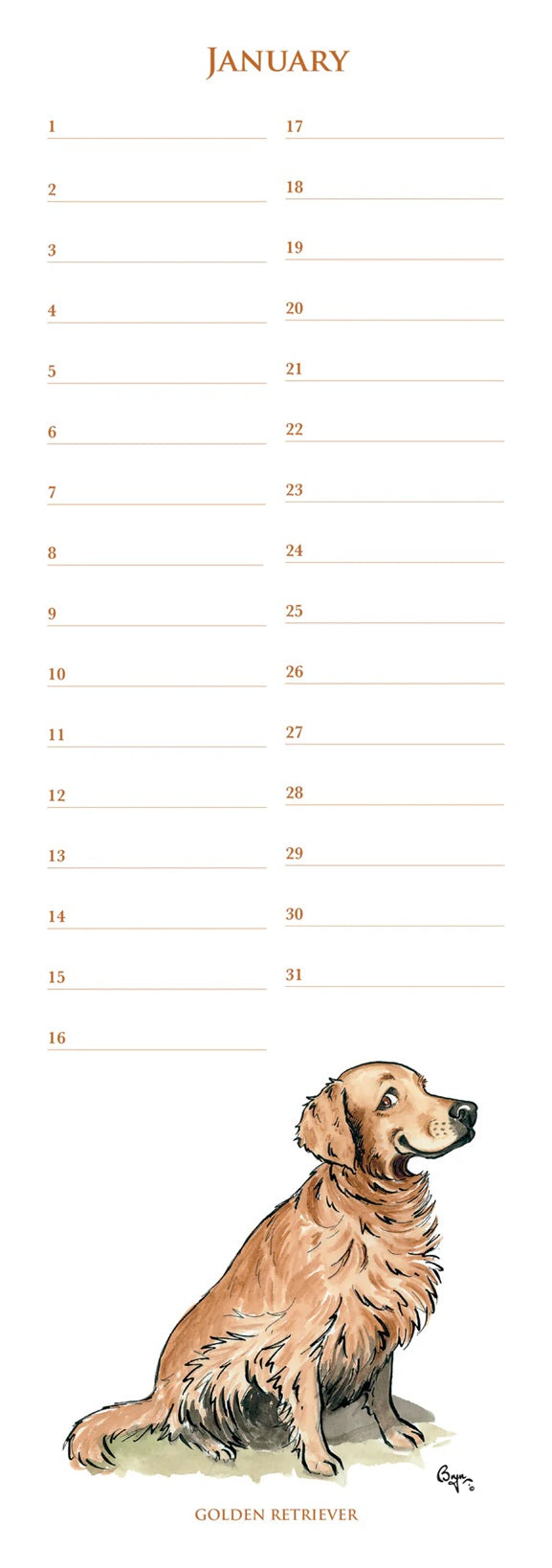 Dog Days Anniversary Calendar - Bryn Parry