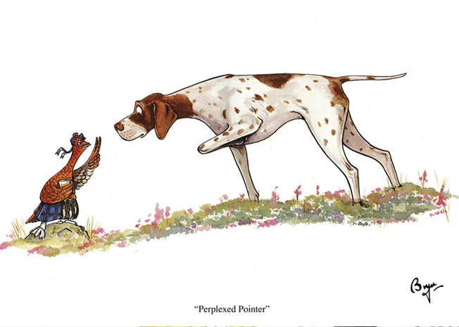 Dog Greeting Cards - Bryn Parry