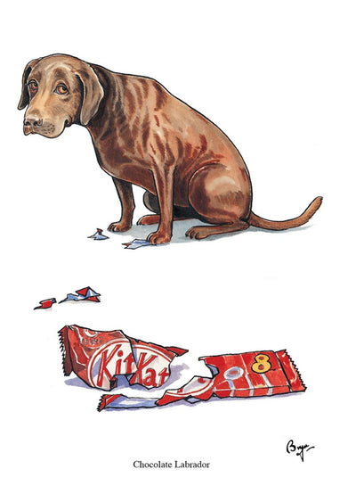 Dog Greeting Cards - Bryn Parry