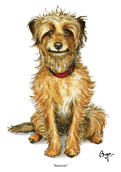 Dog Greeting Cards - Bryn Parry