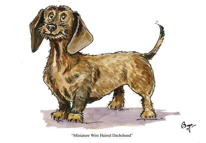 Dog Greeting Cards - Bryn Parry