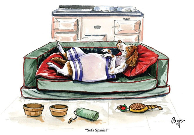 Dog Greeting Cards - Bryn Parry